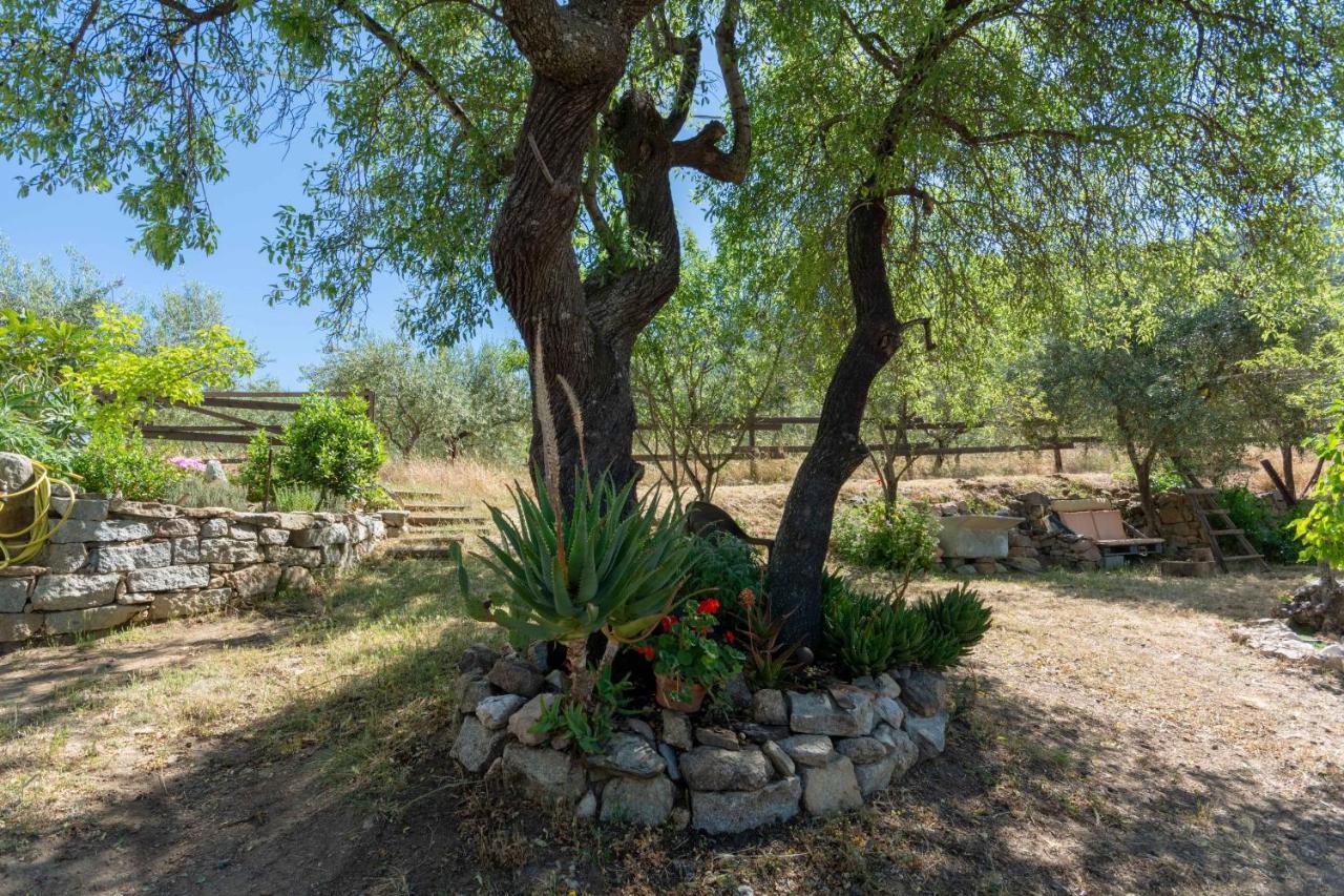 אוליאנה Villa Ferulas מראה חיצוני תמונה