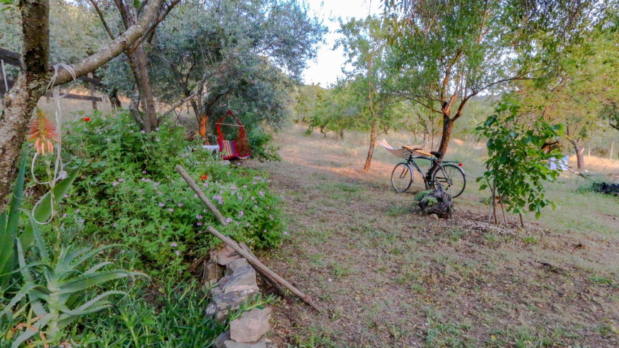 אוליאנה Villa Ferulas מראה חיצוני תמונה